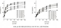 催化臭氧氧化影響因素及效果分析