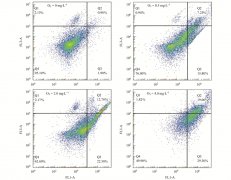 不同臭氧濃度對BAC中微生物的影響